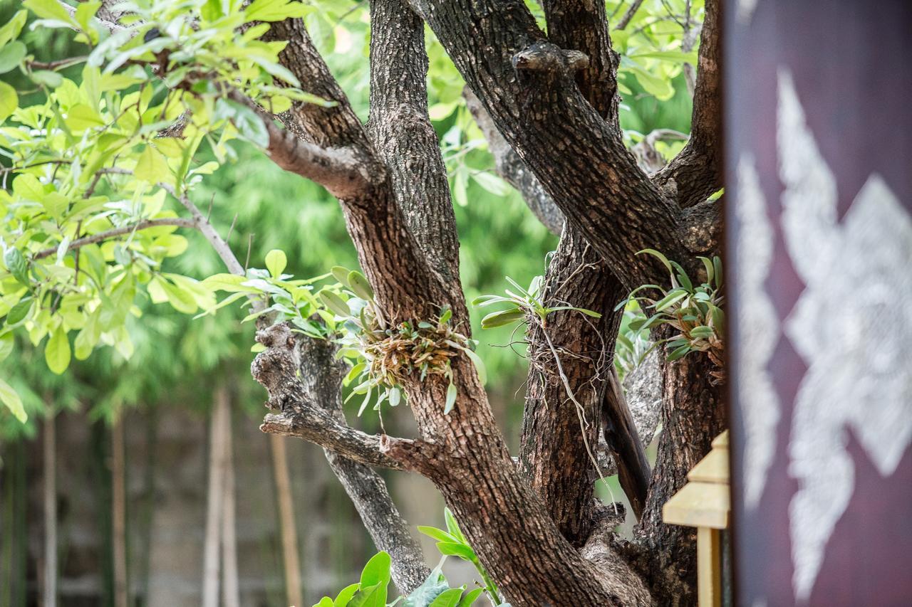 Singha Montra Lanna Boutique Style Hotel Chiang Mai Eksteriør bilde